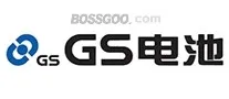 GS Battery