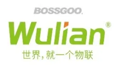 Wulian