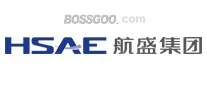 HSAE