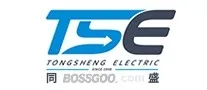 TSE