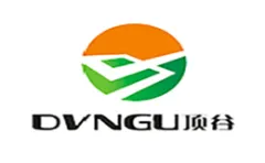 Dinggu 