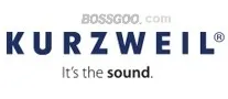 KURZWEIL