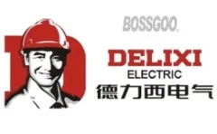 Delixi Tools