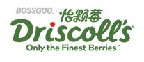 Driscolls