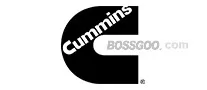 Cummins