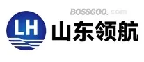 Brand Shandong Leadership