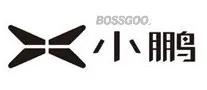 XPENG