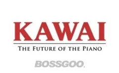 KAWAI