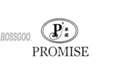Promise