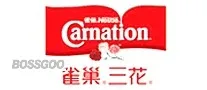 Carnation