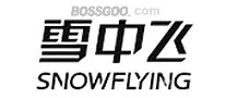 SnowFlying
