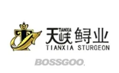TIANXIA