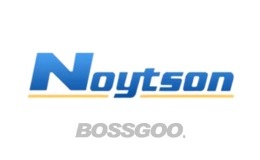 Noytson