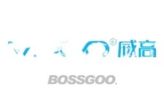 VSGO
