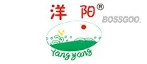 Yangyang Persimmon Cakes