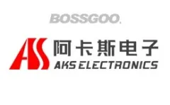  Akas Electronics
