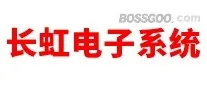 Changhong Electronic Systems