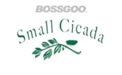 Small Cicada