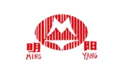 Nsi
