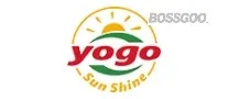 Yogo
