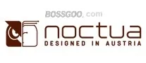 Noctua