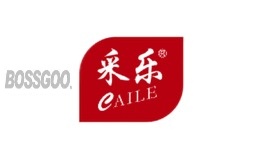CAILE