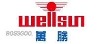 WELLSUN