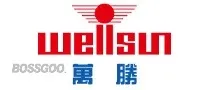 WELLSUN