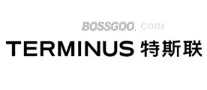 TERMINUS