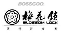 BLOSSOM