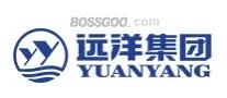 YY