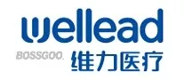 Welllead