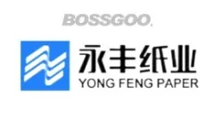 Yung Feng Paper Group