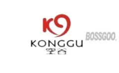 Brand Kongo