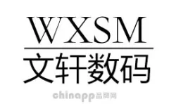 Wenxuan Digital