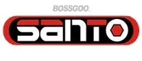 Santo