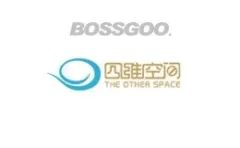 THE OTHER SPACE