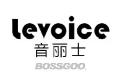 Levoice