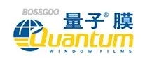 Quantum