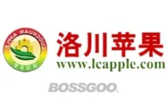 Luochuan Apples