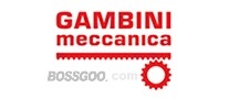 GambiniMeccanica
