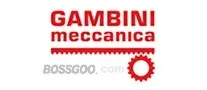 GambiniMeccanica