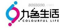 Nine - Color Brand Life