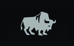 American Bison
