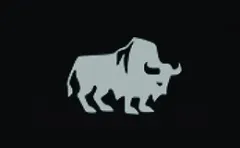 American Bison
