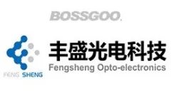 Fengsheng Optoelectronic Technology