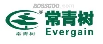 Brand evergreen