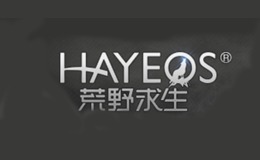 HAYEQS 