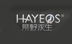 HAYEQS 
