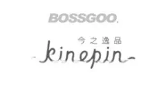 KINEPIN